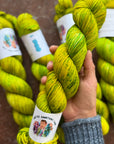 June Yarn Club EXTRAS - I'm Still Standing