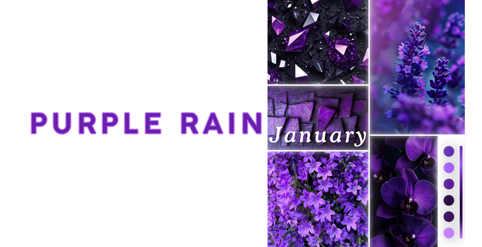 Full Spectrum Yarn Club - January: Purple Rain
