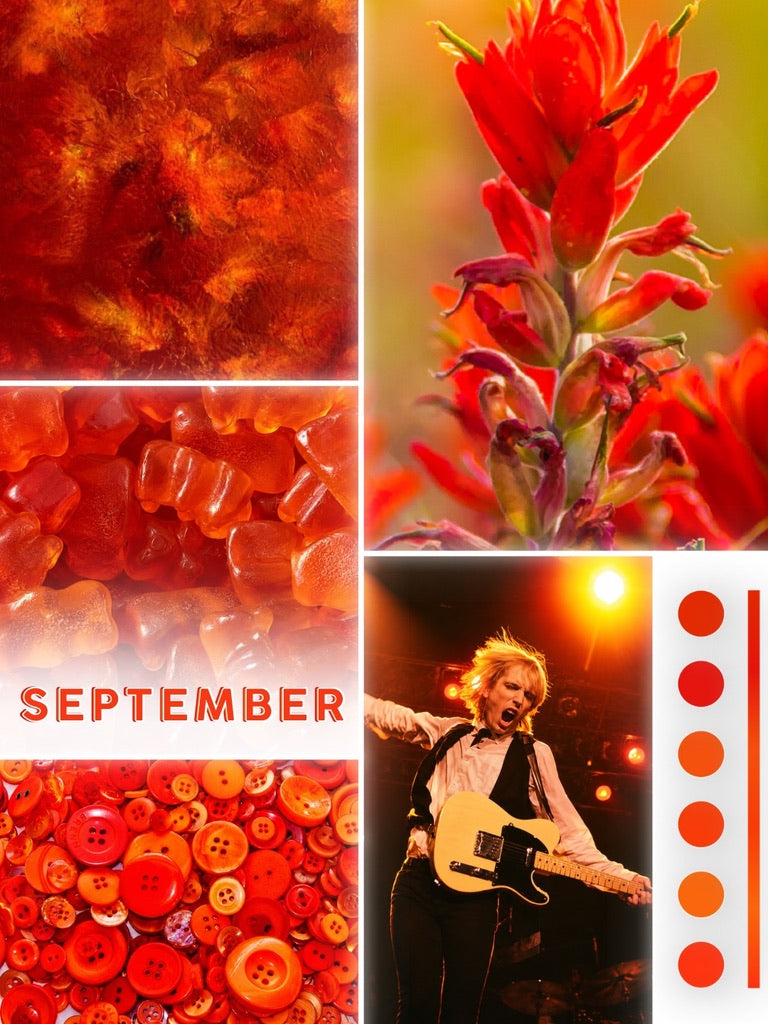 September Yarn Club - Wildflowers - Tom Petty