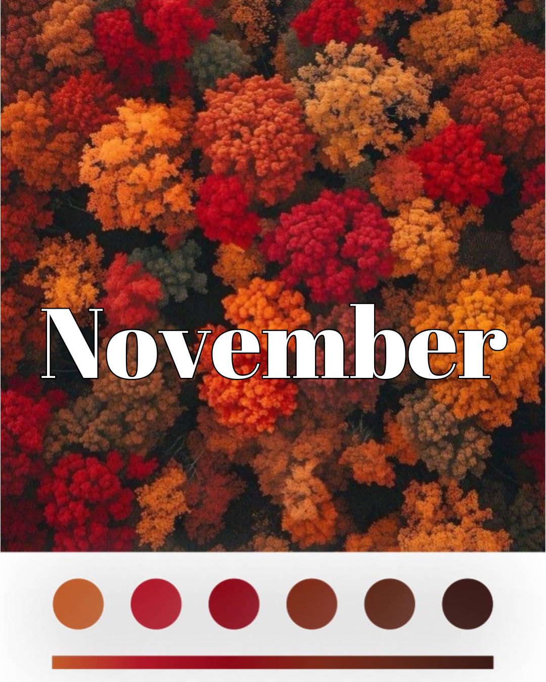 Yarn Club - November